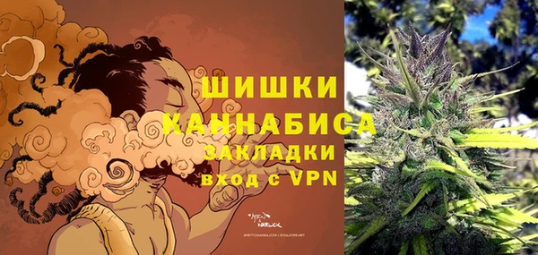 стаф Протвино