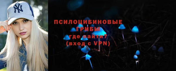 стаф Протвино