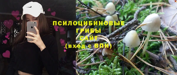 ECSTASY Пролетарск