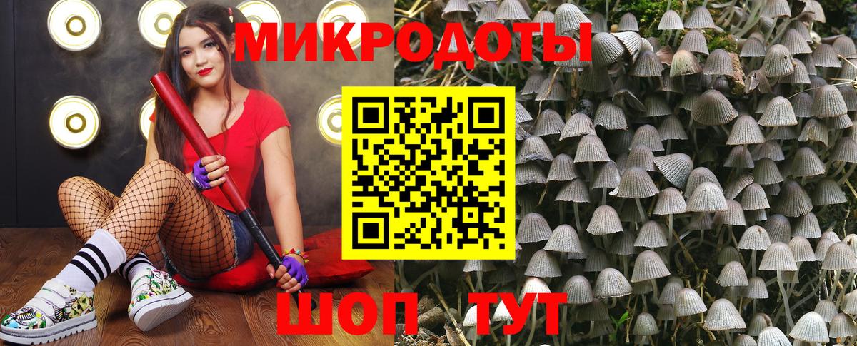 Галлюциногенные грибы мицелий  Анжеро-Судженск 